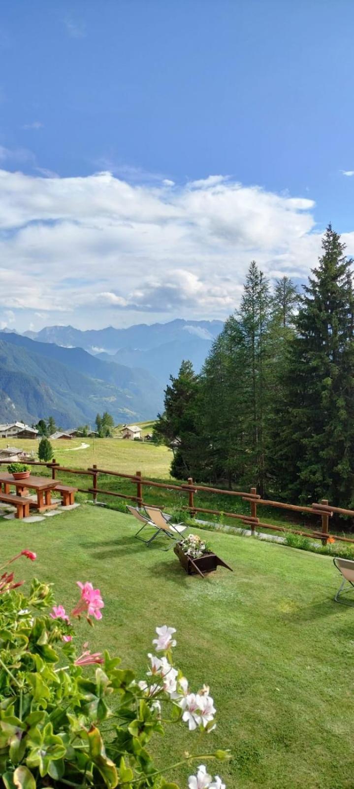 Le Coin Des Melezes - Nature & Trek - Camere In Baita Di Montagna Brusson Luaran gambar