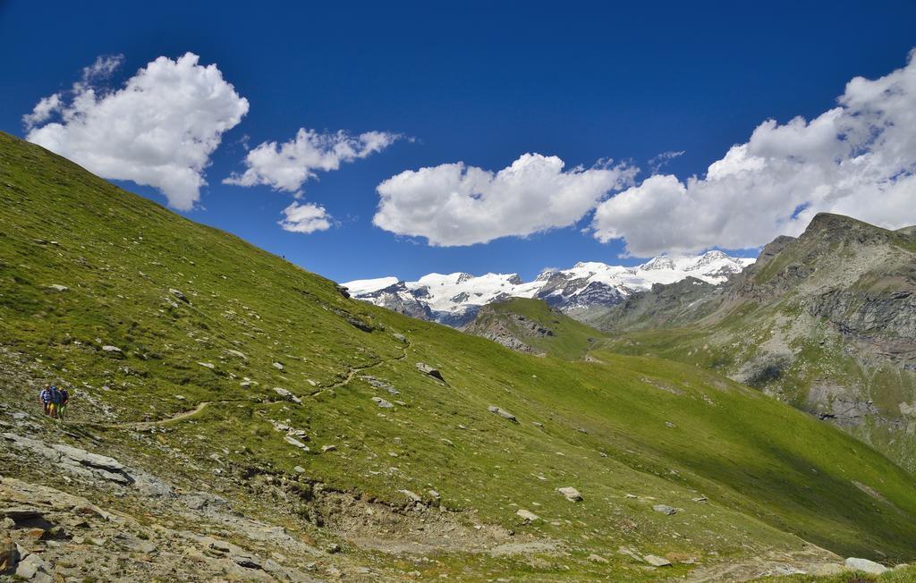 Le Coin Des Melezes - Nature & Trek - Camere In Baita Di Montagna Brusson Luaran gambar
