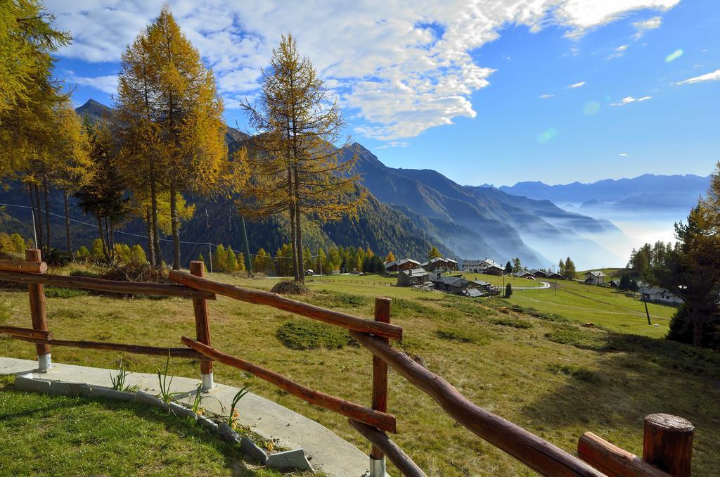 Le Coin Des Melezes - Nature & Trek - Camere In Baita Di Montagna Brusson Luaran gambar