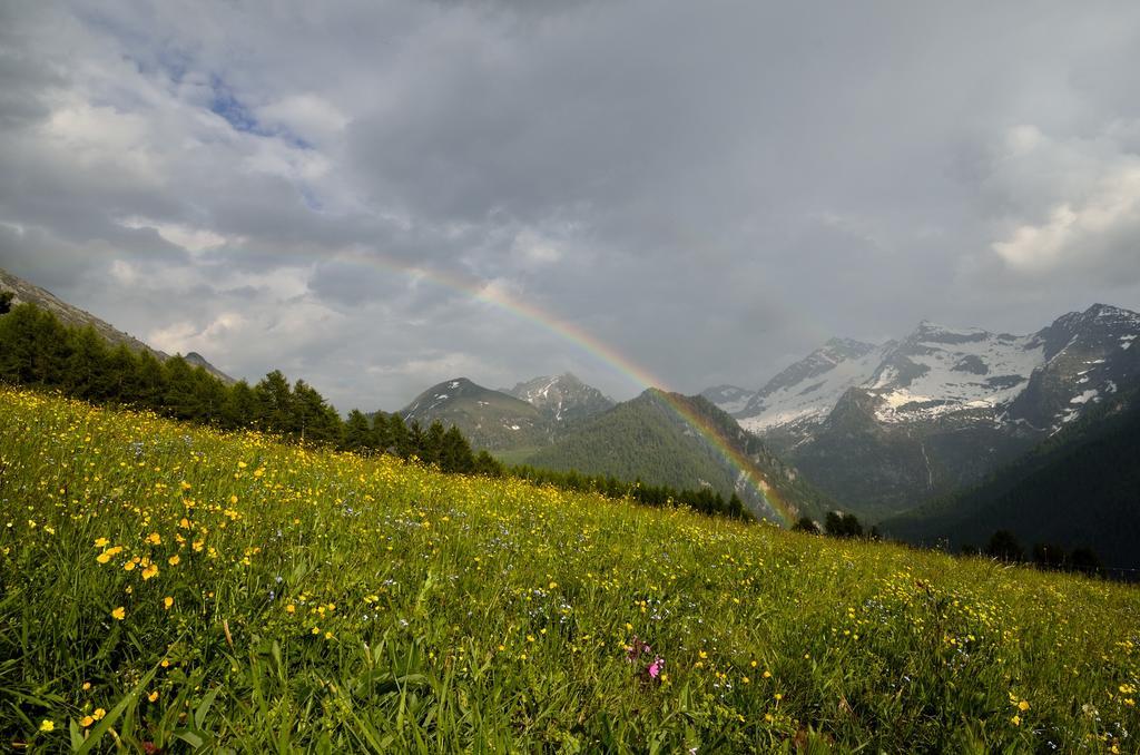Le Coin Des Melezes - Nature & Trek - Camere In Baita Di Montagna Brusson Luaran gambar