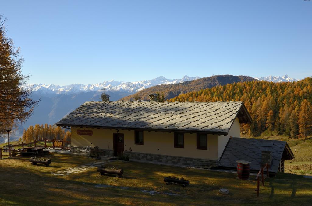 Le Coin Des Melezes - Nature & Trek - Camere In Baita Di Montagna Brusson Luaran gambar