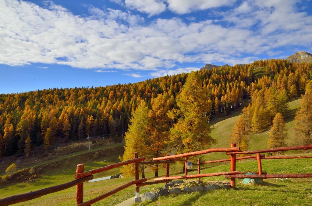 Le Coin Des Melezes - Nature & Trek - Camere In Baita Di Montagna Brusson Luaran gambar