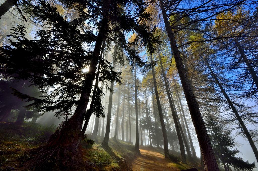 Le Coin Des Melezes - Nature & Trek - Camere In Baita Di Montagna Brusson Luaran gambar