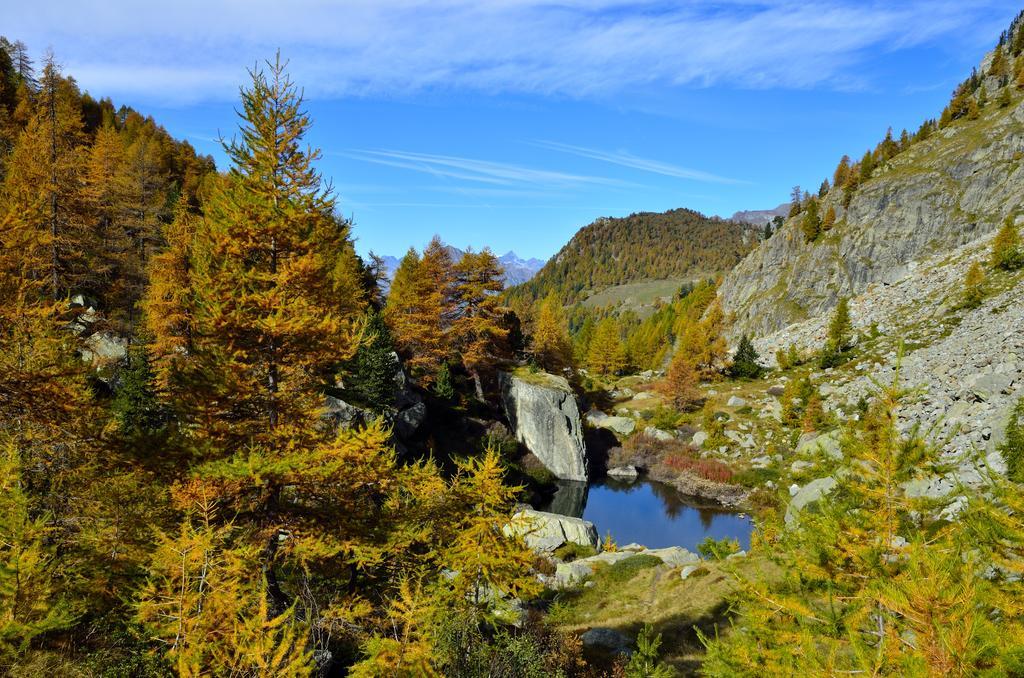 Le Coin Des Melezes - Nature & Trek - Camere In Baita Di Montagna Brusson Luaran gambar