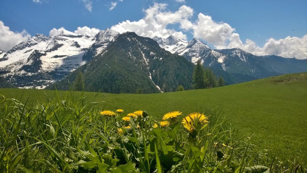 Le Coin Des Melezes - Nature & Trek - Camere In Baita Di Montagna Brusson Luaran gambar